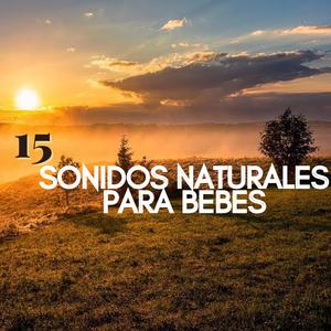 15 natuurlike klanke vir babas