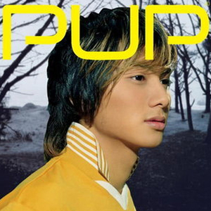 ไม่ใช่อย่างฝันเลยใช่ไหม