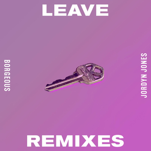 Leave (Costa Music Remix)