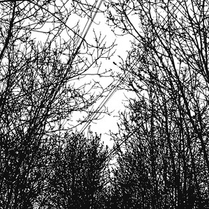 Spiritcaller (V8COLA Remix)