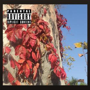 枫夜(PROD BY GOAT MUSIC)