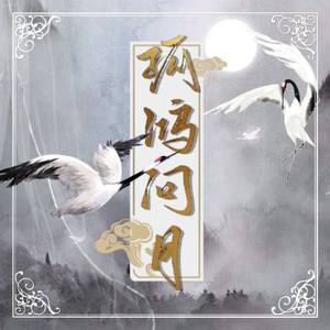 孤鸿问月