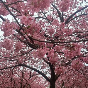 也许你会更喜欢我