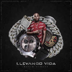 Llevando Vida