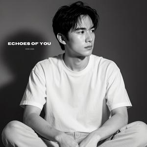 Echoes of You