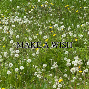 MAKE A WISH