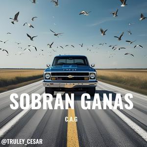 Sobran Ganas