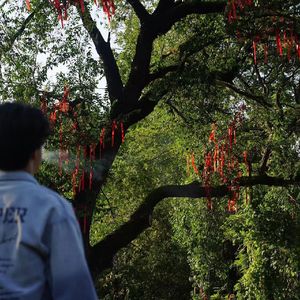 蜕变pt.2(Prod.SAXOC)