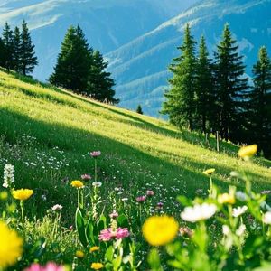 炊烟飘进云里面