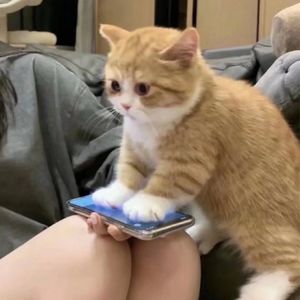 孙盛希-串烧（柃硌 remix）