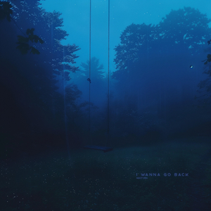 i wanna go back