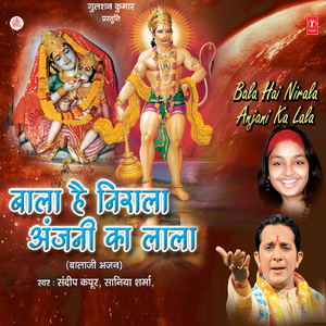 Mehandipur Dham Aaie