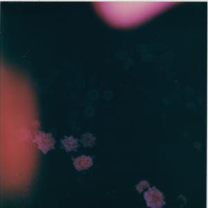 Purgatory (Single Version)