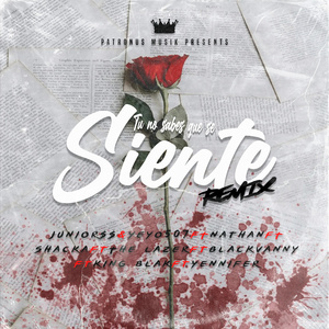 Tu No Sabes Que Se Siente (Remix)