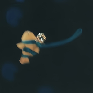 我离孤单几公里