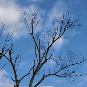 镜头里的成都-鱼