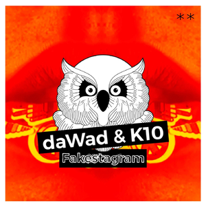 Fakestagram (Rayko Remix)