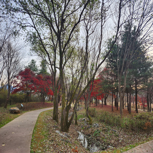 끝없이 이어진 길