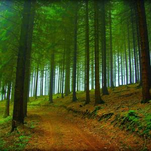 小城画师（抖音热歌）-李小贝