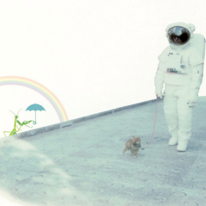 8月、落雷のストーリー