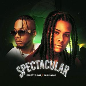 Spectacular (feat. Icebeatchillz)