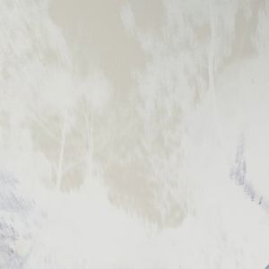 无数渺小的思考填满了人的一生