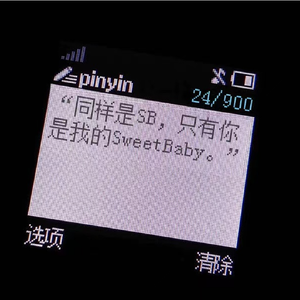 还是不喜欢在歌词里面带着任何批判