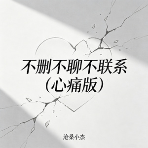 不删不聊不联系（心痛版）