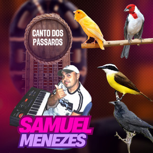 Canto dos Passaros