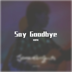 say goodbye MIX