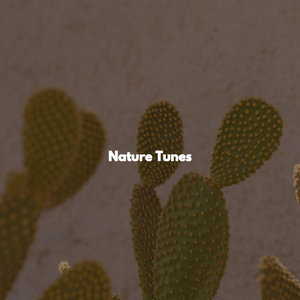 Elegant Nature Escapes