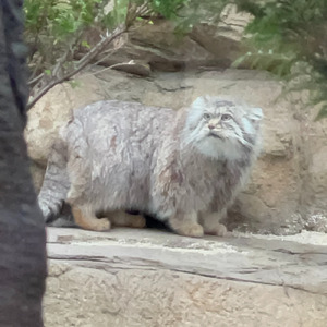 那須に降りた天使