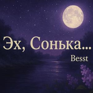 Эх, Сонька...