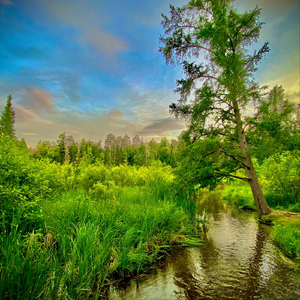 Sarvesham (Musical Mix)