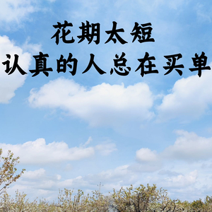 花期太短，认真的人总在买单