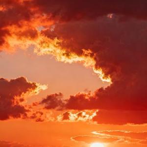 致命的甜蜜 (Cover 孙子涵)