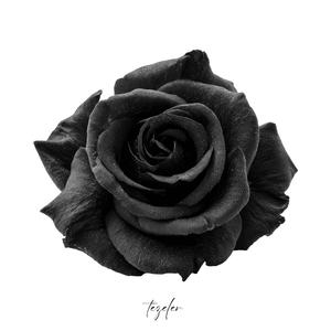 Tezeler (Senin Elinde)