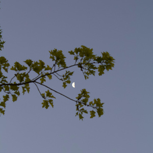 不问 (答案我其实早就知道)