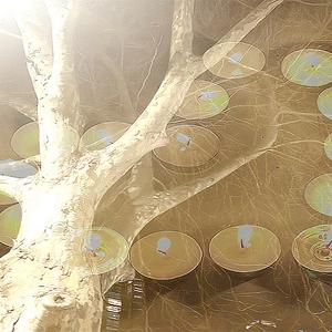 I feel so ****ing lost