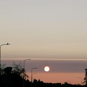Night Planes Over Cramond