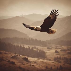 Դու հայ ես by @reelingrecordproducer556