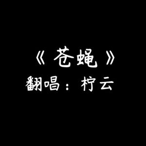 苍蝇