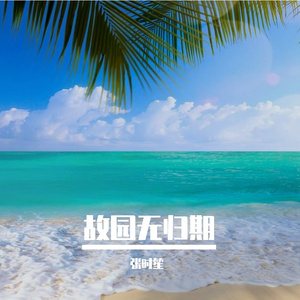破茧成蝶