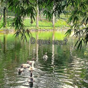 O Que era?