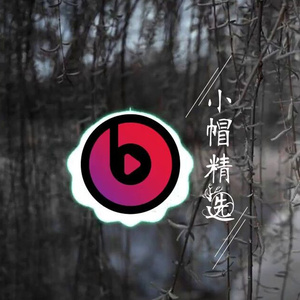 哭了又能怎样(Remix)