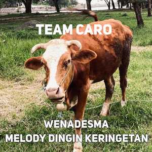 WENADESMA MELODY DINGIN KERINGETAN