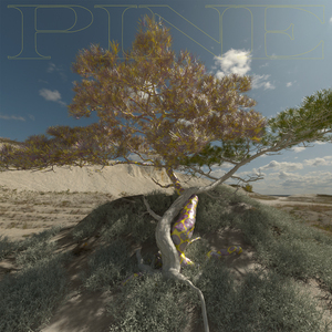 흉터 (Feat. 설호승 of SURL)