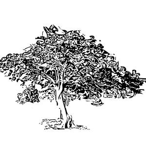 Krishnochura