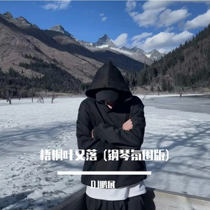 梧桐叶又落 (钢琴氛围版)