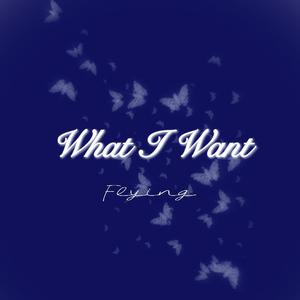 What I Want